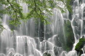 世界登山青年导师生态课堂在线证书班开课，青年登山活动