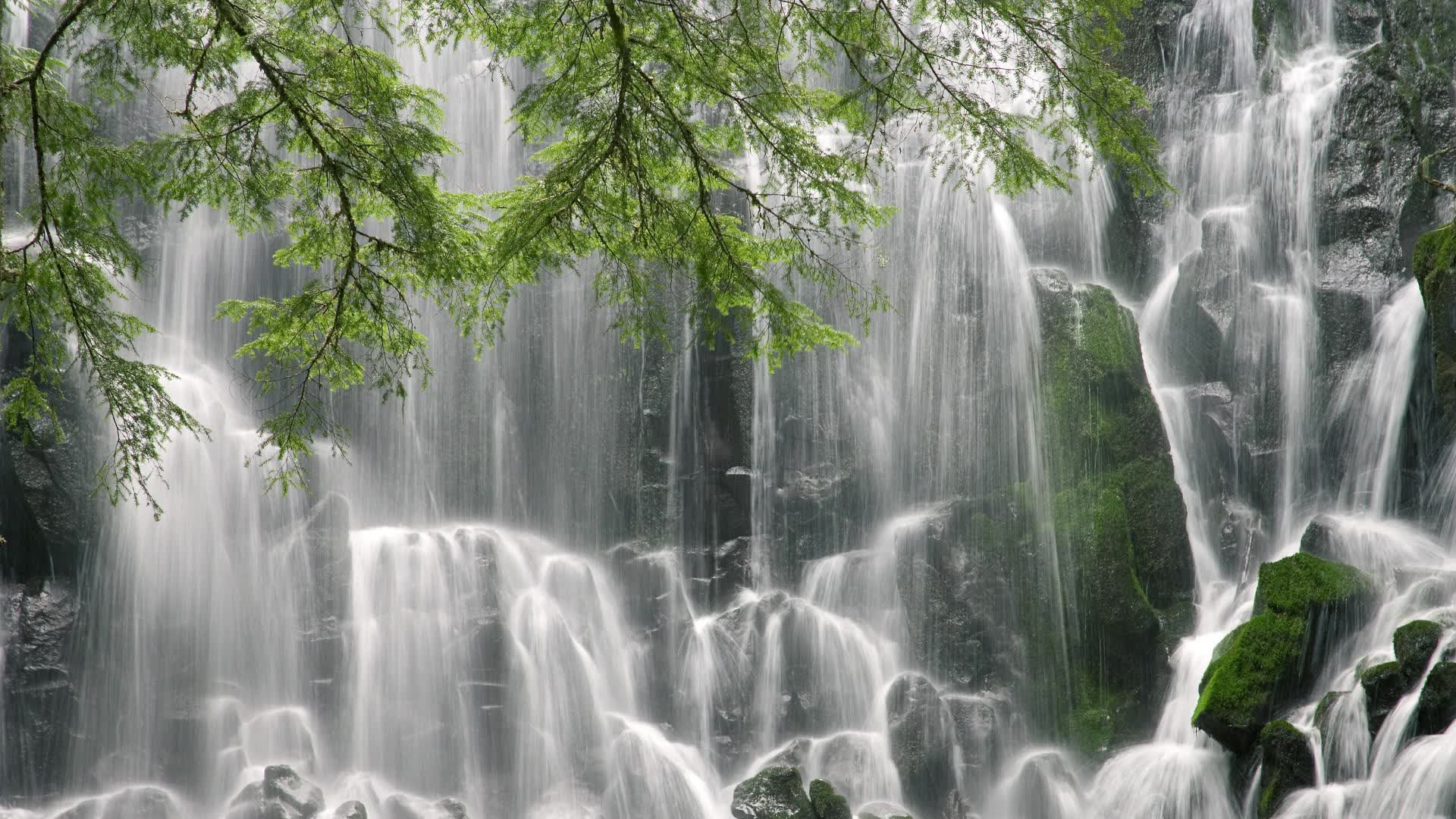 世界登山青年导师生态课堂在线证书班开课,青年登山活动